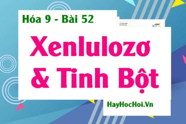Tinh bột, Xenlulozơ Tính chất hóa học, Tính chất vật lý, Ứng dụng của Tinh bột và Xenlulozơ - Hóa 9 bài 52